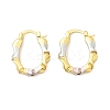 Brass Two Tone Oval Hoop Earrings EJEW-B117-04-4