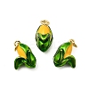Brass Enamel Pendants KK-A268-26G-1