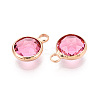 Golden Tone Brass Glass Charms X-GLAA-ZX008-24J-G-2