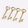 Tibetan Style Alloy Skeleton Key Large Pendants LS-TIBEP-S105-AG-RS-2