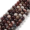 Natural Mexican Red Laguna Lace Agate Round Beads Strands G-NH0005-A31-03-2