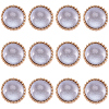 Gorgecraft 12Pcs ABS Plastic Shank Buttons BUTT-GF0003-47C-1