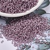 MIYUKI Delica Beads SEED-JP0008-DB1791-1