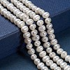 Natural Cultured Freshwater Pearl Beads LS-PEAR-D039-1-4