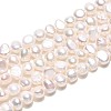 Natural Cultured Freshwater Pearl Beads Strands PEAR-T006-18B-2