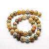 Round Natural Crazy Lace Agate Beads Strands G-P058D-01-1