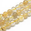 Natural Rutilated Quartz Beads Strands G-S263-10mm-01-1