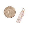 2Pcs 2 Styles Natural Amethyst/Green Aventurine/Rose Quartz/Lapis Lazuli/Quartz Crystal Double Terminated Pointed Pendants PALLOY-JF03122-3