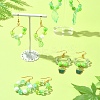 Acrylic Bead DIY Earring Making Kits DIY-FS0006-67A-9