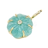 Natural Amazonite Carved Pendants G-G330-01G-07-2
