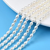 Natural Cultured Freshwater Pearl Beads Strands PEAR-N012-03G-1