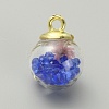 Transparent Glass Globe Pendants GLAA-TAC0005-002E-1