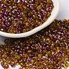 Spray Painted Glass Seed Beads SEED-F005-04A-01-1
