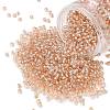 TOHO 8/0 Round Beads X-SEED-TR08-0031-1