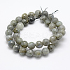 Natural Labradorite Beads Strands G-P322-28-10mm-2