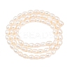 Natural Cultured Freshwater Pearl Beads Strands PEAR-D003-01D-05-3