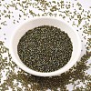 MIYUKI Delica Beads SEED-X0054-DB1739-2