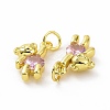 Brass Micro Pave Clear Cubic Zirconia Charms ZIRC-F135-25G-02-3