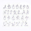 Non-Tarnish 201 Stainless Steel Charms STAS-T044-217P-1