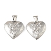 316 Stainless Steel Locket Pendants STAS-K321-13P-1
