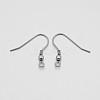 316 Stainless Steel Earring Hooks X-J0R62011-1