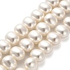 Shell Pearl Beads Strands BSHE-F013-01A-1