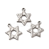 Non-Tarnish 304 Stainless Steel Pendants STAS-Q001-02P-2