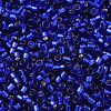 Glass Seed Beads X-SEED-S042-04B-27-3