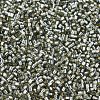 MIYUKI Delica Beads Small SEED-JP0008-DBS0048-3