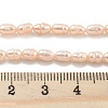 Natural Cultured Freshwater Pearl Beads Strands PEAR-P062-01B-5