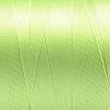 Nylon Sewing Thread NWIR-N006-01R-0.2mm-2
