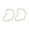 201 Stainless Steel Hoop Earrings LS-EJEW-L243-19A-G-1