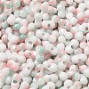 Two Tone Baking Paint Glass Seed Beads SEED-F005-01A-08-3