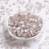 MIYUKI TILA Beads SEED-MY05-TL2553-4