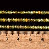 Faceted Rondelle Natural Green Garnet Beads Strands G-F289-40B-6