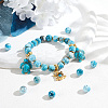 Natural Apatite Beads Strands G-OC0002-60B-5