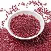 MIYUKI Round Rocailles Beads X-SEED-G008-RR0425-2
