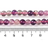 Natural Fluorite Beads Strands G-P530-B09-02-5