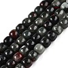 Natural African Bloodstone Beads Strands G-T138-150-4