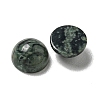 Natural Kambaba Jasper Cabochons G-Q173-01B-22-2