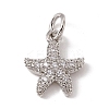 Brass Micro Pave Cubic Zirconia Charms LS-ZIRC-F132-13P-1