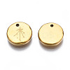 316 Surgical Stainless Steel Charms STAS-S116-418K-G-3