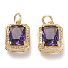 Brass Glass Charms ZIRC-F116-09B-G-1