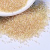 MIYUKI Delica Beads SEED-JP0008-DB1252-1