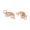 Brass Micro Pave Cubic Zirconia Charms LS-ZIRC-L096-09RG-2