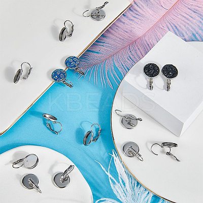 80Pcs 304 Stainless Steel Leverback Earring Findings STAS-SC0006-70-1
