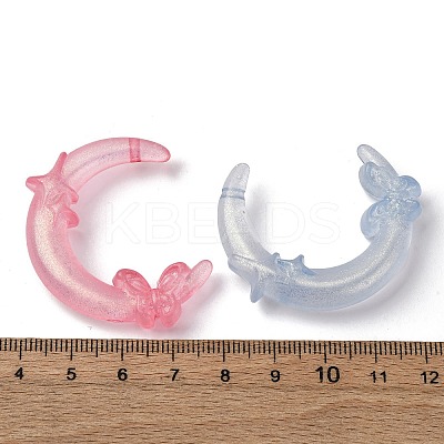 Luminous Transparent Acrylic Beads LACR-S001-10-1