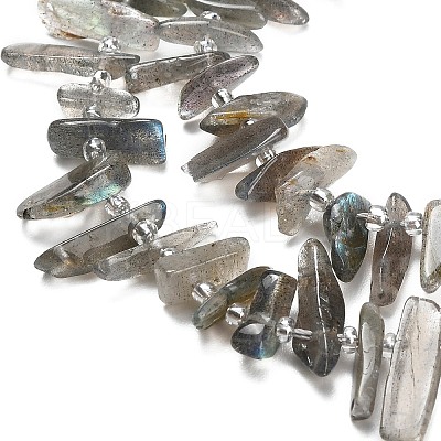 Natural Labradorite Beads Strands G-Z124-C01-01-1