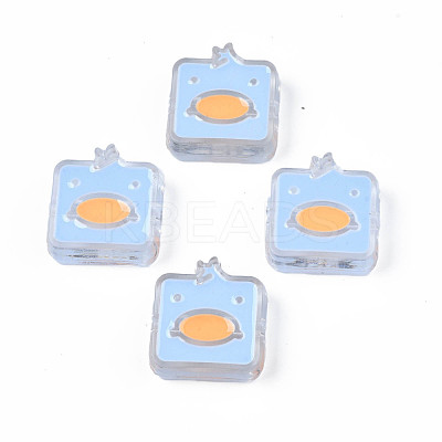 Transparent Acrylic Beads ACRC-S039-09-1