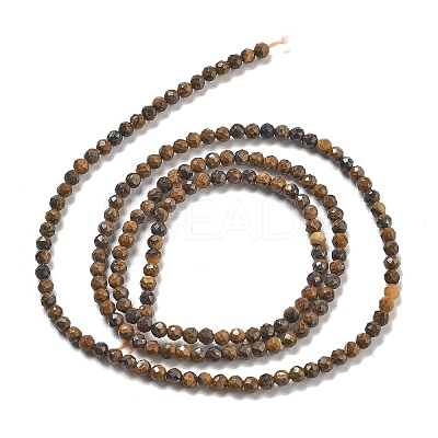 Natural Tiger Iron Beads Strands LS-G-B120-A01-01-1